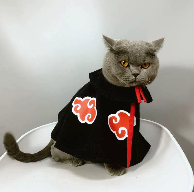 British Shorthair Akatsuki Cloak Ninja Cosplay Cat Costume