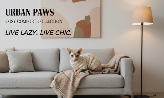 How to Choose the Right Clothes for Your Hairless Cat: A Complete Guide for Sphynx, Devon Rex & Cornish Rex Owners