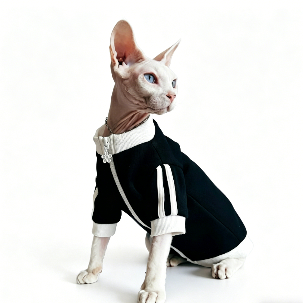 Sphynx Cat Jacket Sports Zip-Up Clothes Devon Rex & Cornish Rex Mesh Outfits
