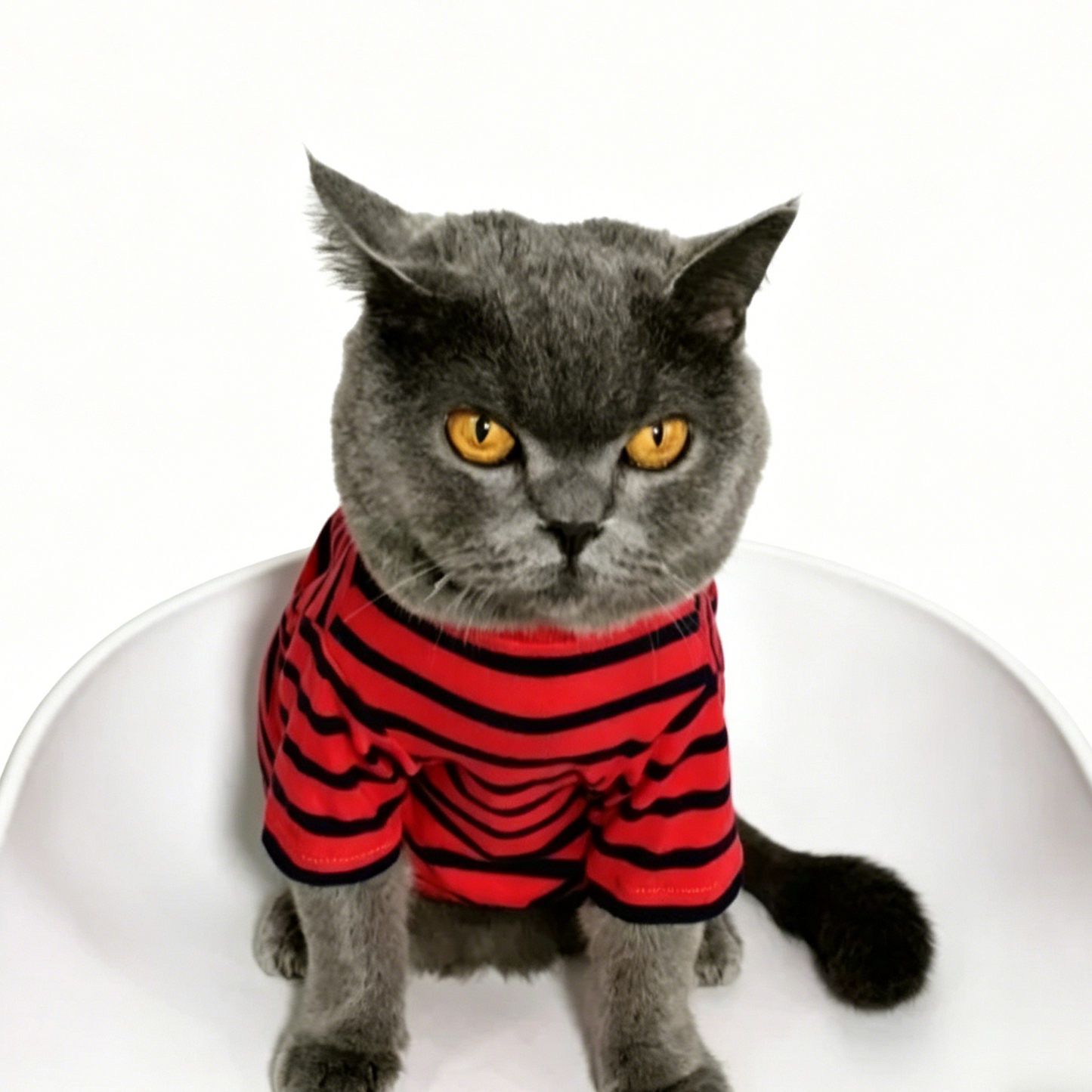 British Shorthair Striped Jumper  Classic Cotton Cat Top