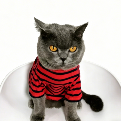 British Shorthair Striped Jumper  Classic Cotton Cat Top