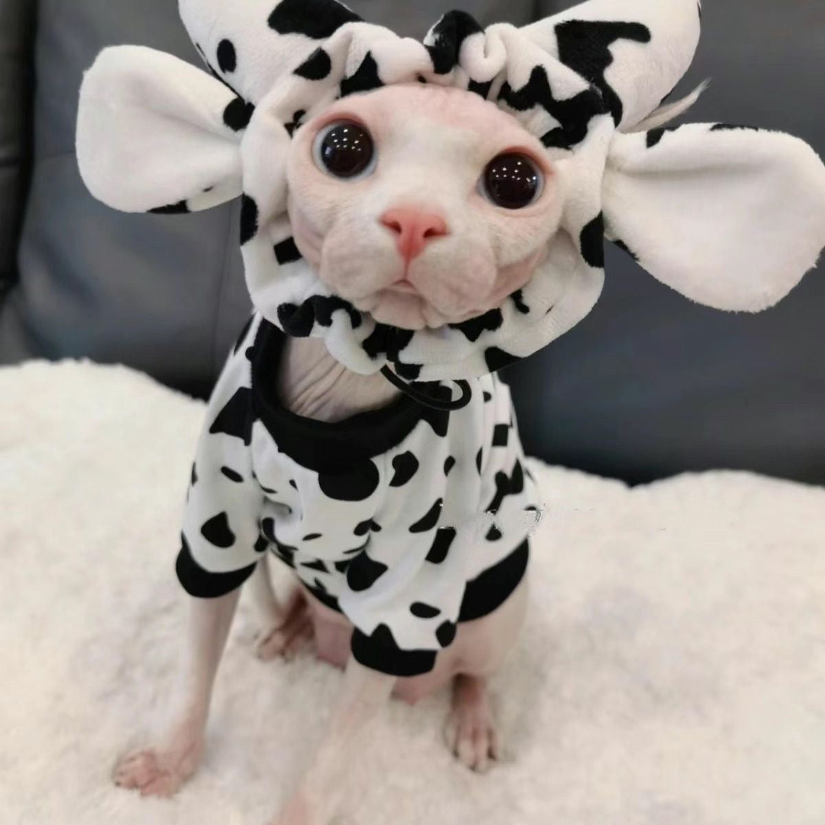Sphynx Cat Costume Set Hooded Halloween Outfit for Hairless Cats