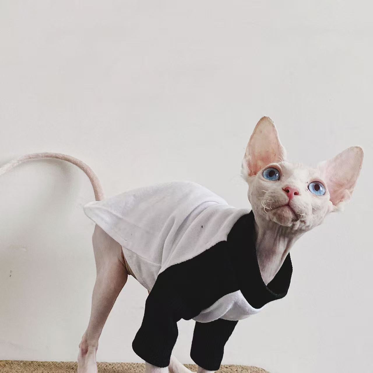 Sphynx Cat Jumpers Soft Cotton Streetwear Hairless Cats Clothes