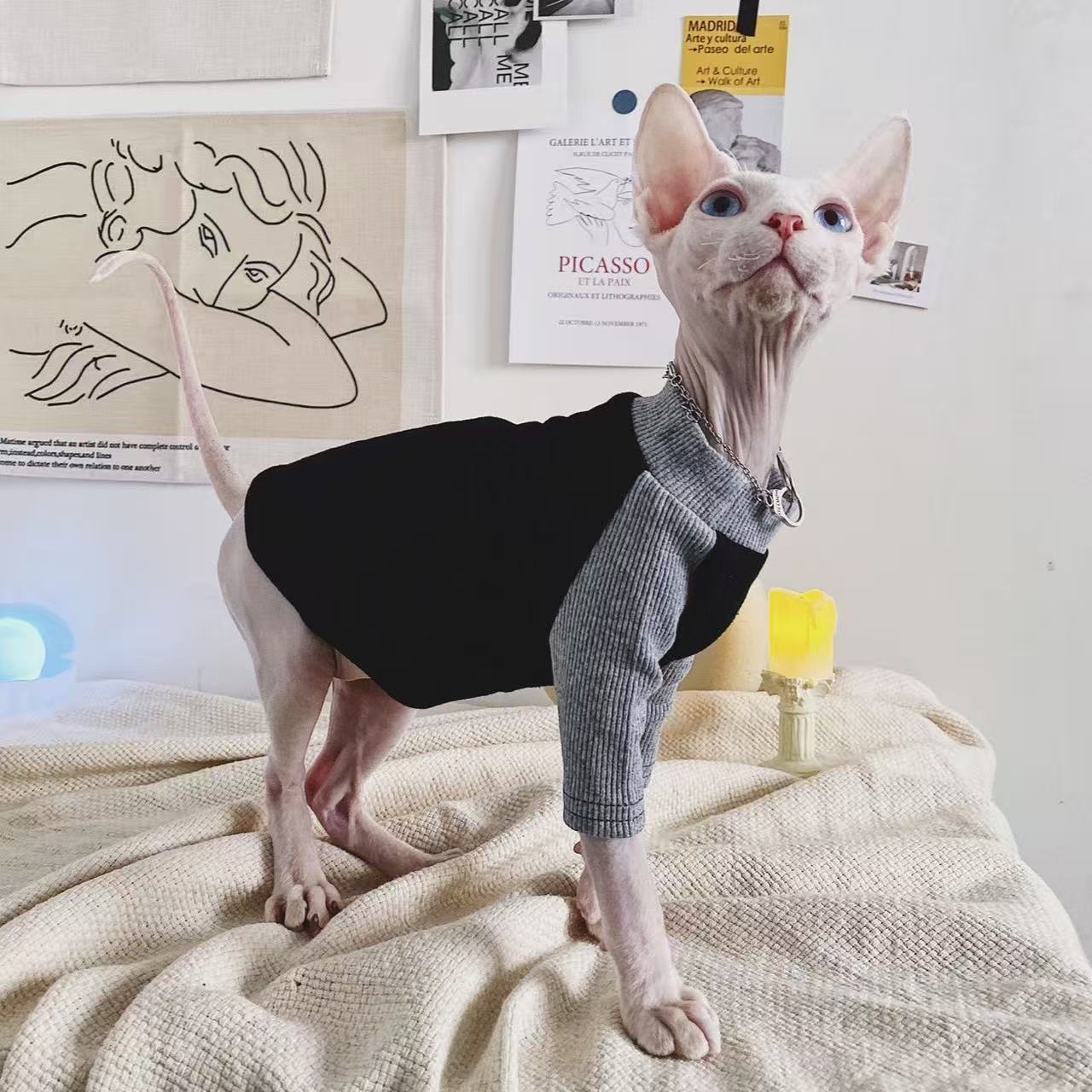 Sphynx Cat Jumpers Soft Cotton Streetwear Hairless Cats Clothes