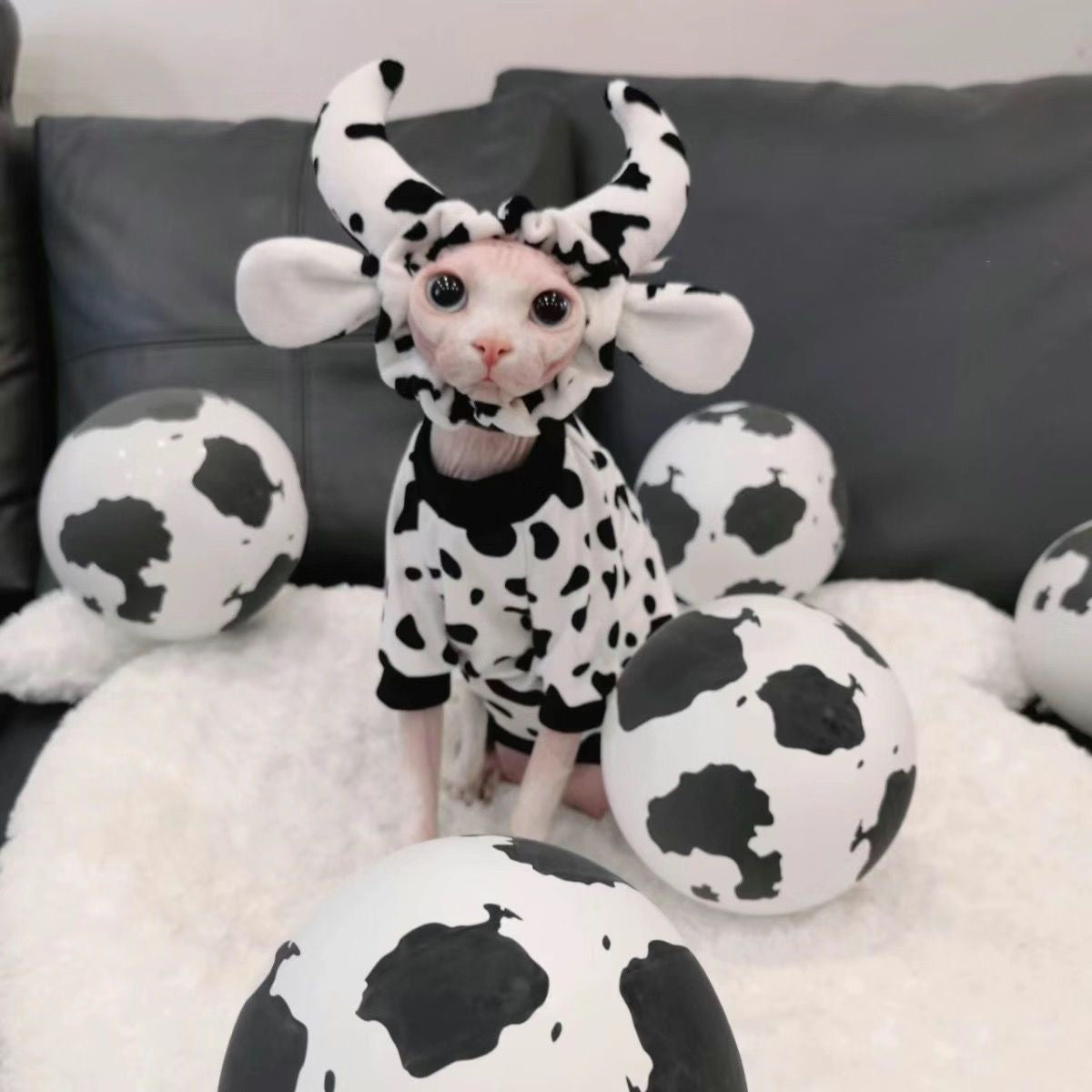 Sphynx Cat Costume Set Hooded Halloween Outfit for Hairless Cats