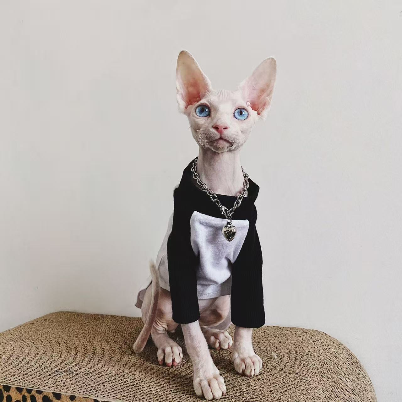 Sphynx Cat Jumpers Soft Cotton Streetwear Hairless Cats Clothes