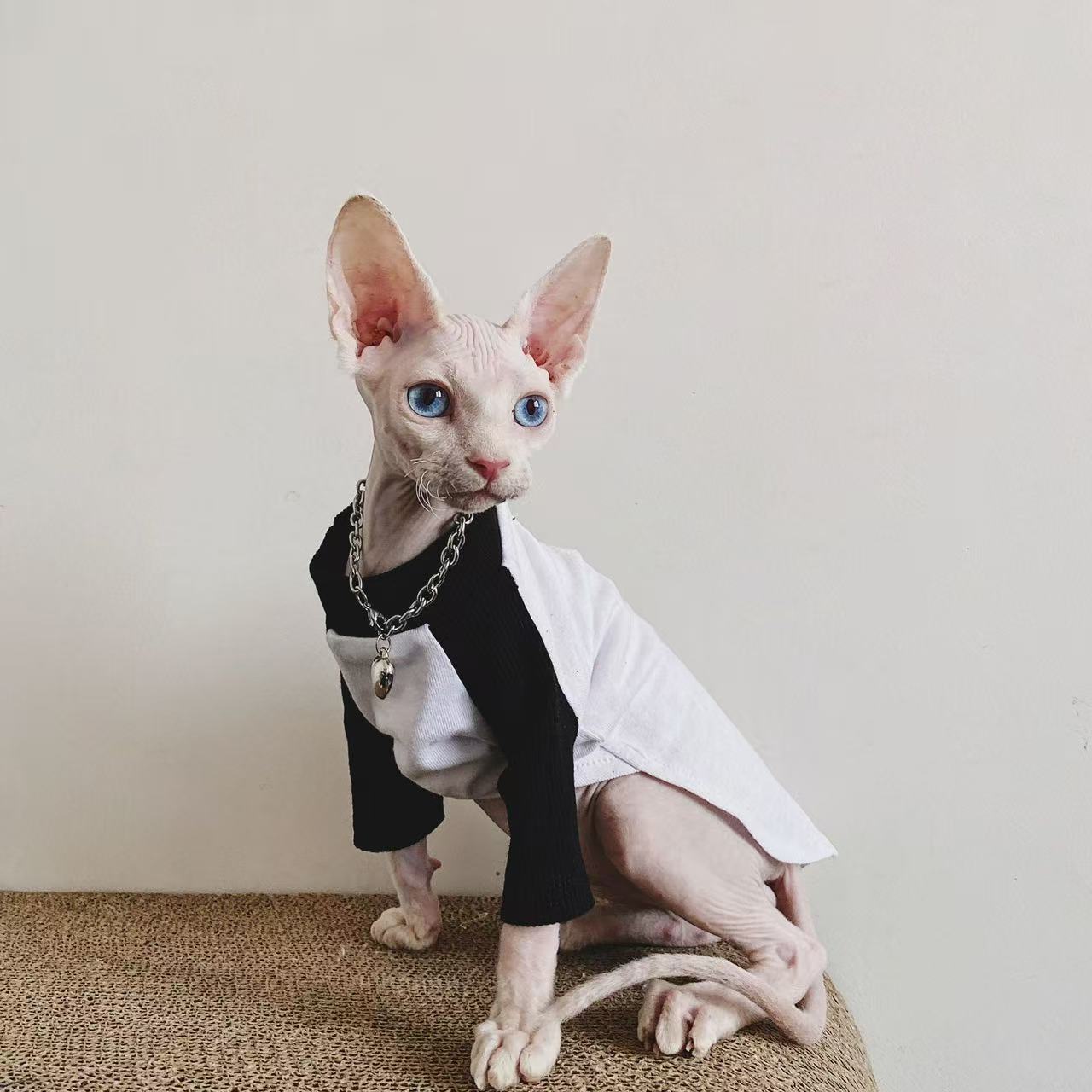 Sphynx Cat Jumpers Soft Cotton Streetwear Hairless Cats Clothes