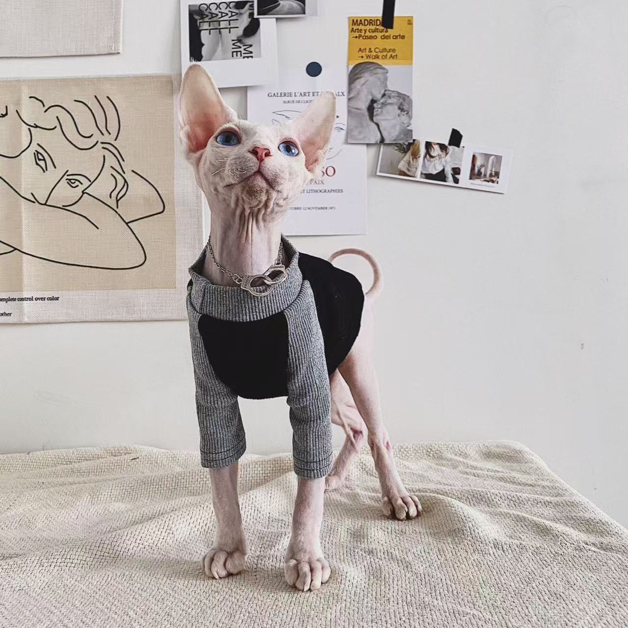 Sphynx Cat Jumpers Soft Cotton Streetwear Hairless Cats Clothes