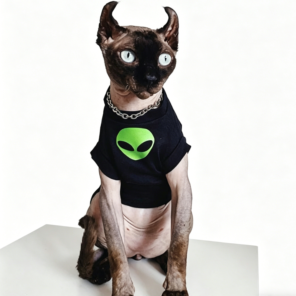 Sphynx Cat Jumpers Summer Mesh Outfit Fun Tee for Hairless and Devon Rex Cats