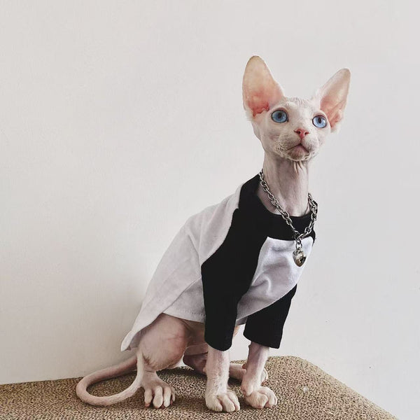 Sphynx Cat Jumpers Soft Cotton Streetwear Hairless Cats Clothes
