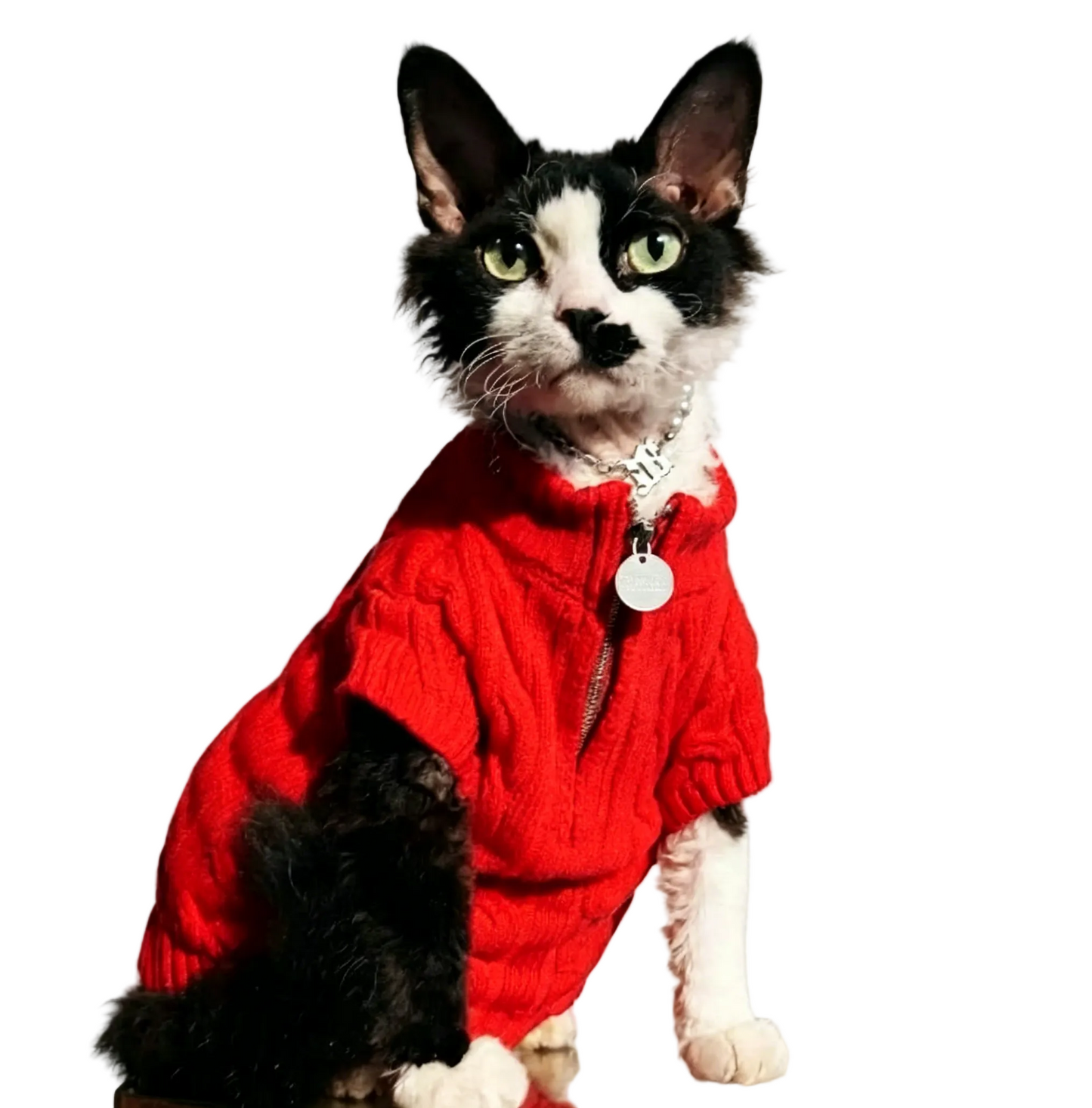 Sphynx Cat Knit Zip Sweater Turtleneck Devon Rex & Cornish Rex Clothes Soft & Warm