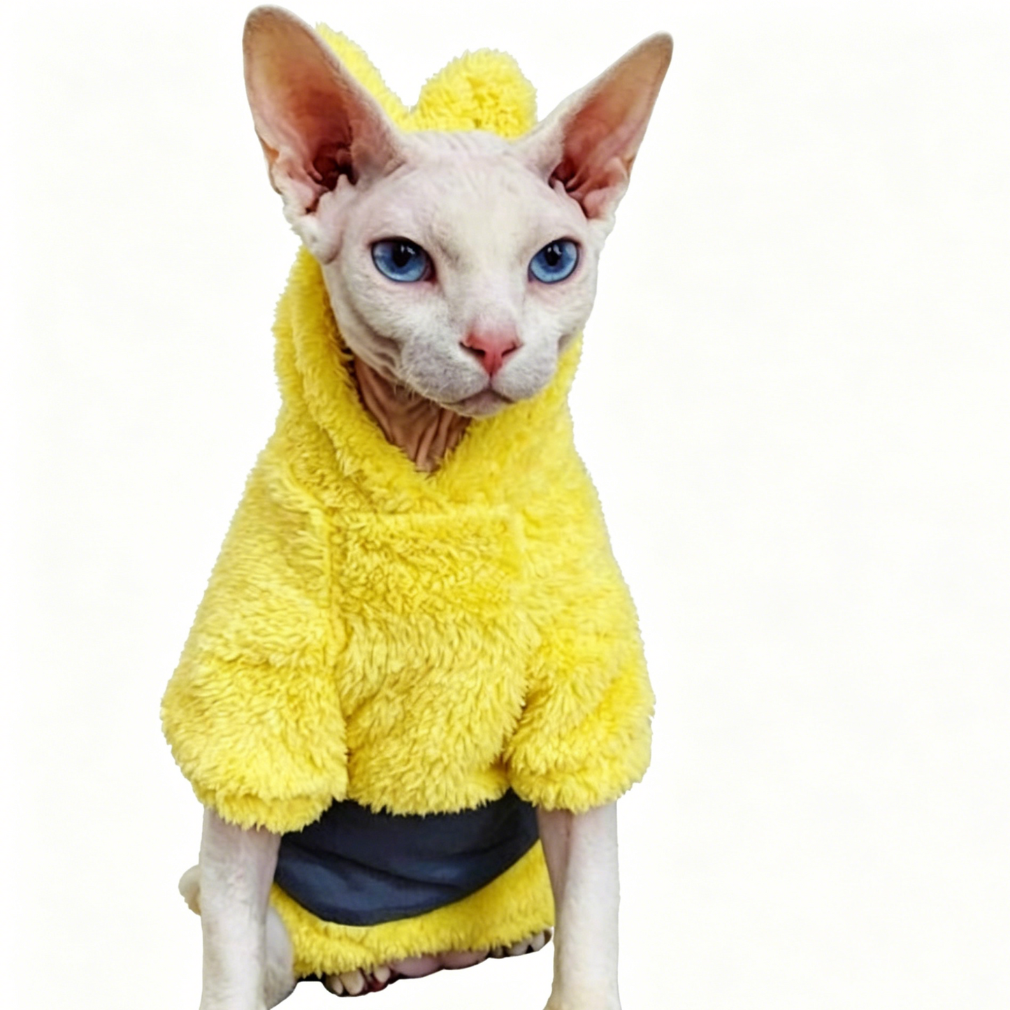 Sphynx Hoodie Warm Soft Devon Rex Cats Cute Jumpers