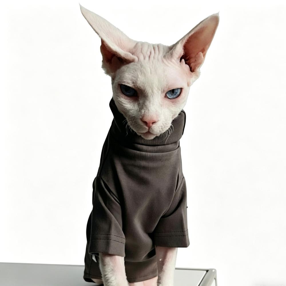 Sphynx Cat Jumper Minimalist Warm Outfits Devon Rex & Cornish Rex Clothes