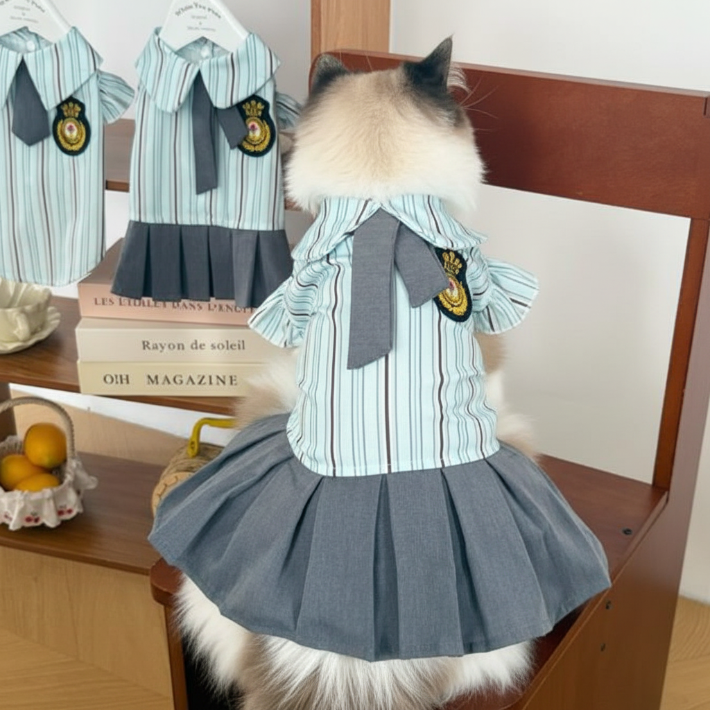 猫咪背面图