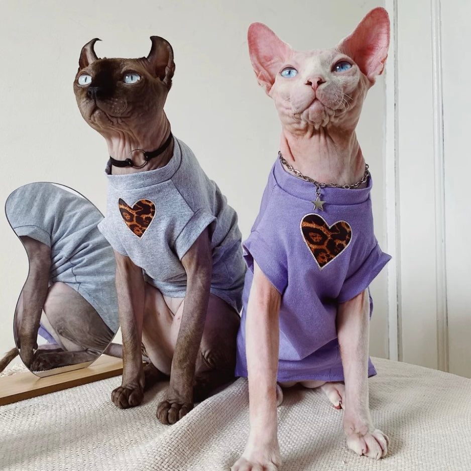 Sphynx Jumpers Devon Rex Cat Cotton Soft Outfit