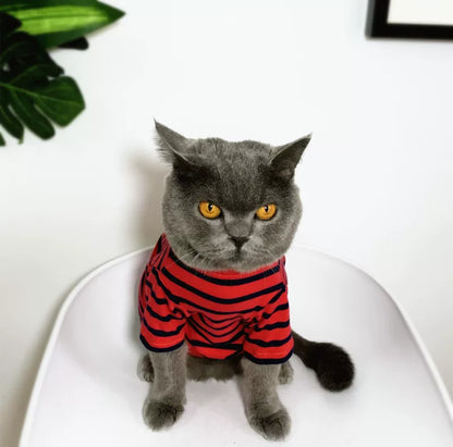 British Shorthair Striped Jumper  Classic Cotton Cat Top