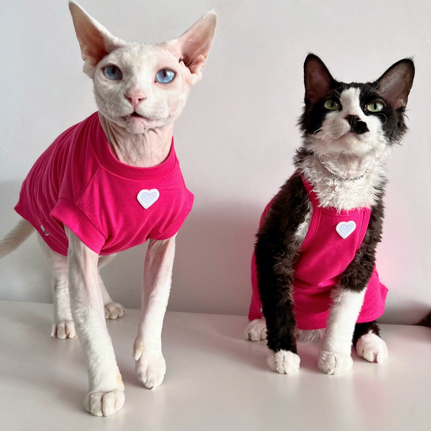 Sphynx Cat Cotton Vest & Jumper Devon Rex & Cornish Rex Clothes