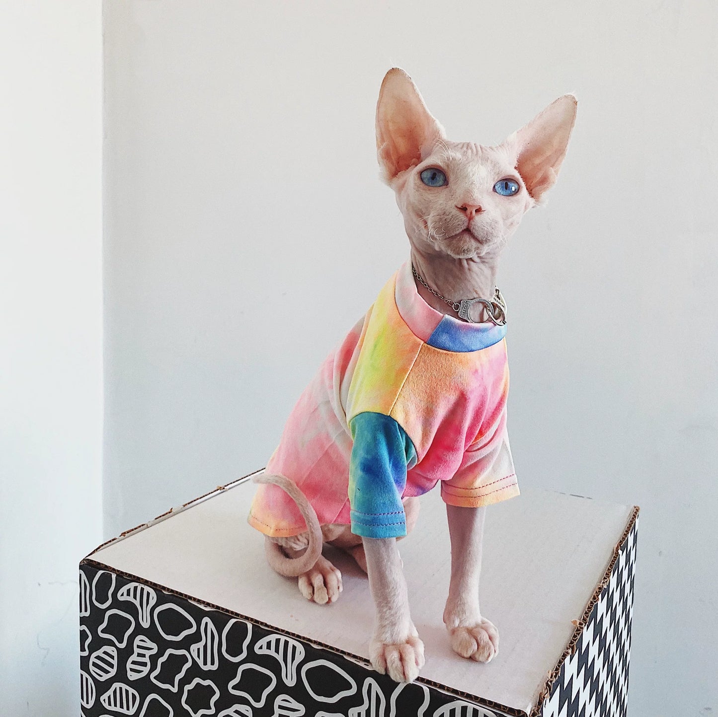 Sphynx Cat Jumper Summer Mesh Soft Devon Rex & Cornish Rex Clothes