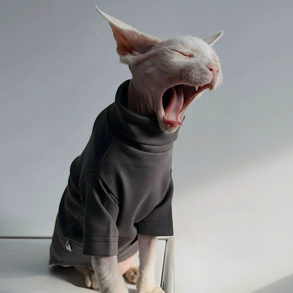 Sphynx Cat Jumper Minimalist Warm Outfits Devon Rex & Cornish Rex Clothes