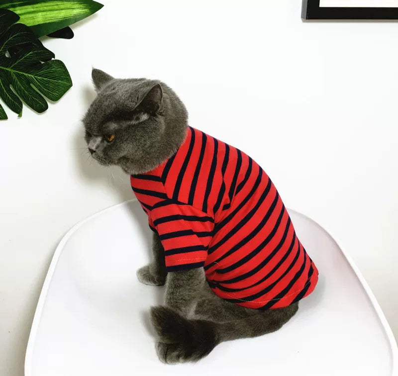 British Shorthair Striped Jumper  Classic Cotton Cat Top