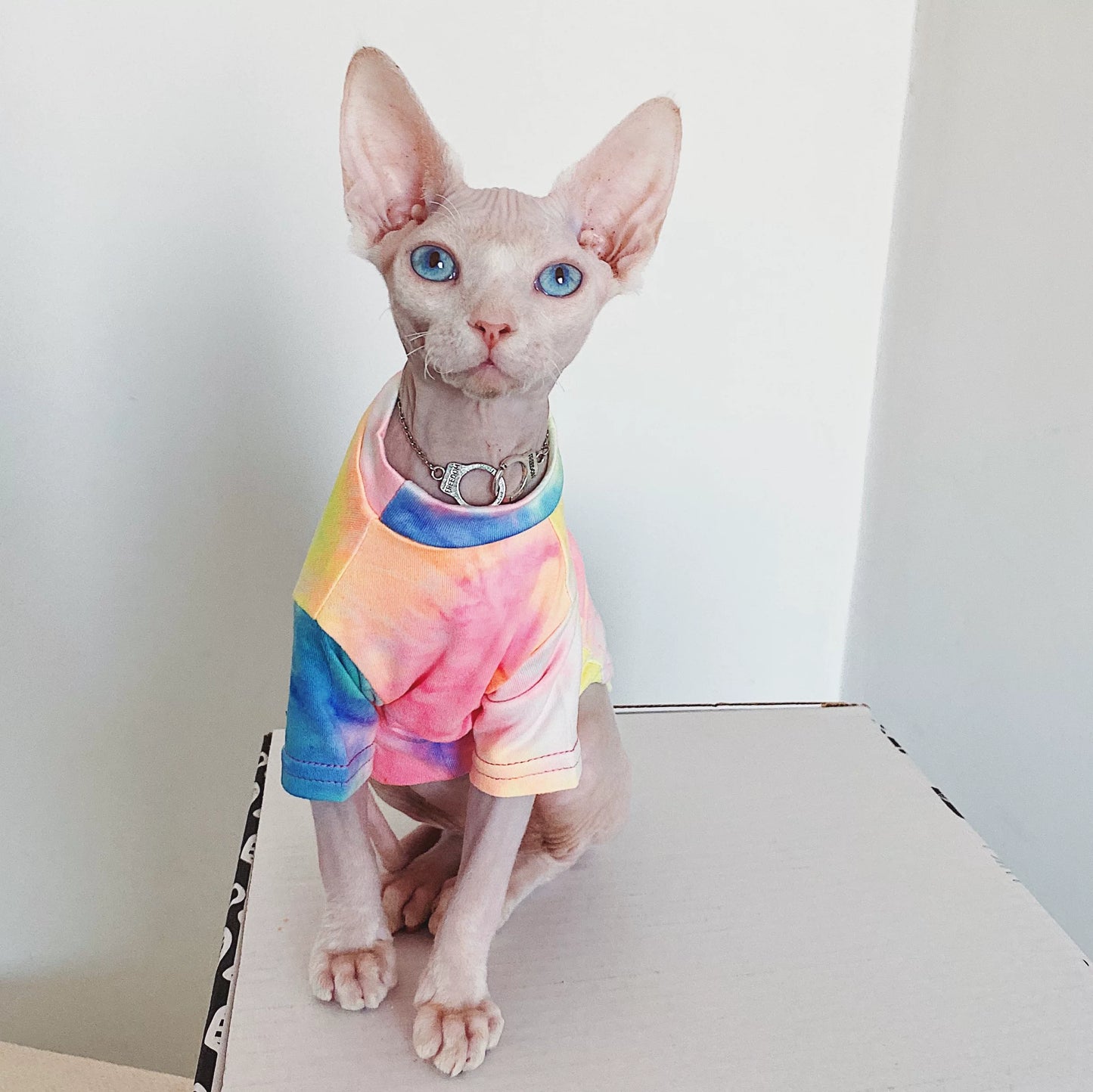 Sphynx Cat Jumper Summer Mesh Soft Devon Rex & Cornish Rex Clothes