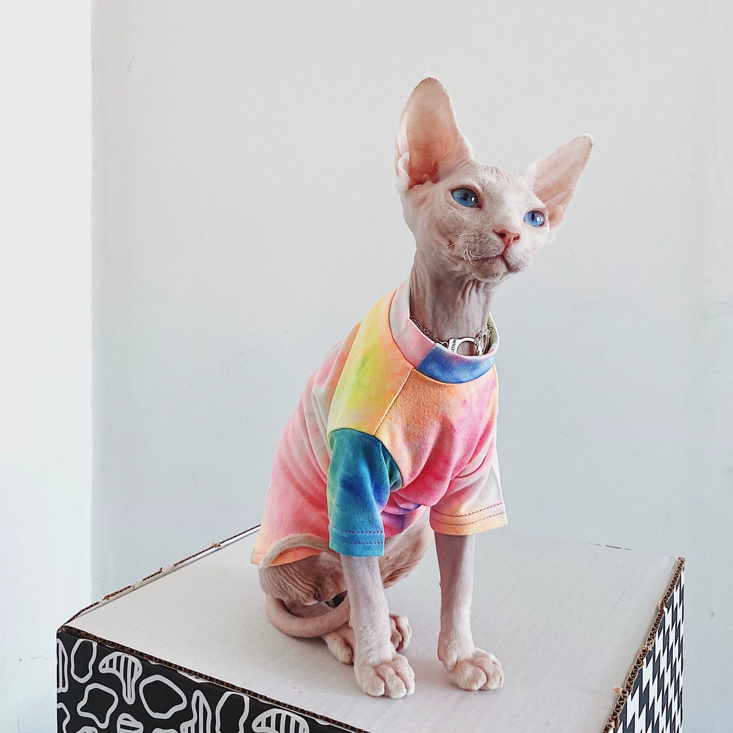 Sphynx Cat Jumper Summer Mesh Soft Devon Rex & Cornish Rex Clothes