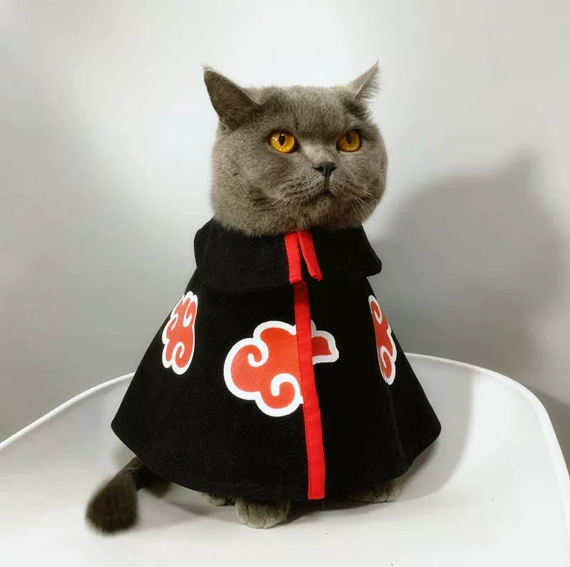 British Shorthair Akatsuki Cloak Ninja Cosplay Cat Costume