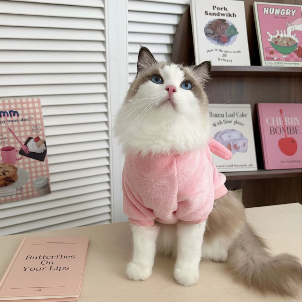 Ragdoll Fluffy Cat Hoodie Soft Warm Kitten Jumper