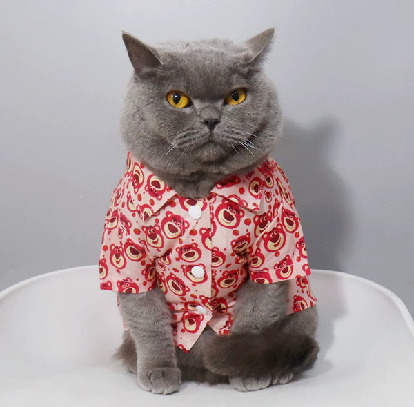British Shorthair Shirt Soft Pet Blouse for Cats & Small Dogs