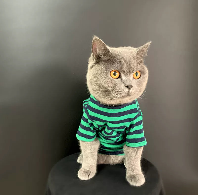 British Shorthair Striped Jumper  Classic Cotton Cat Top