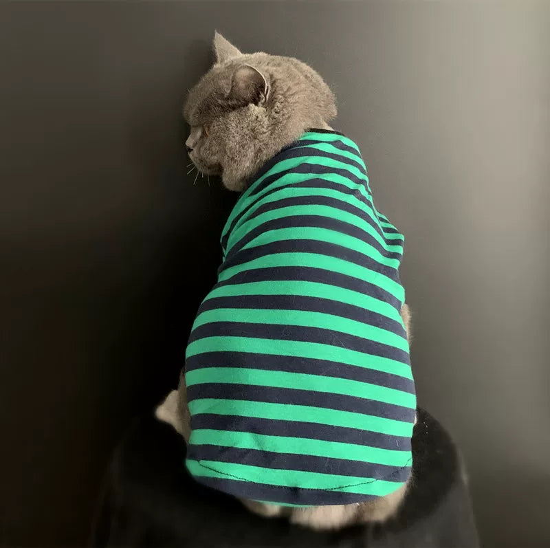 British Shorthair Striped Jumper  Classic Cotton Cat Top