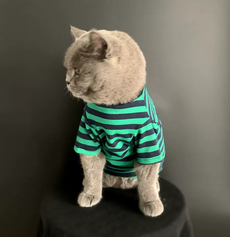 British Shorthair Striped Jumper  Classic Cotton Cat Top