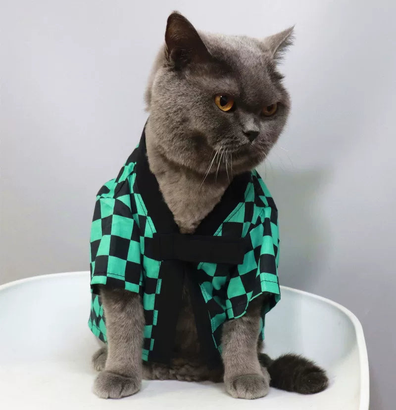British Shorthair Clothes Tanjiro Kimono Demon Slayer Cosplay Cat Costume