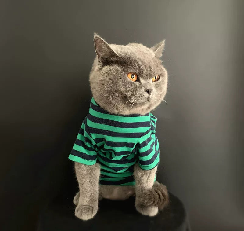 British Shorthair Striped Jumper  Classic Cotton Cat Top