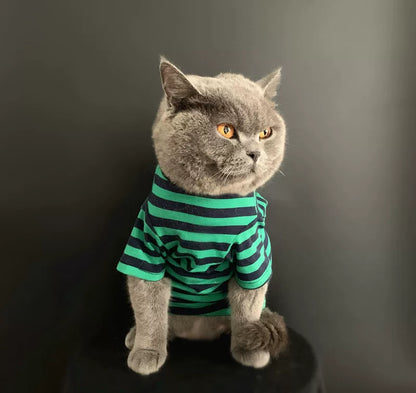 British Shorthair Striped Jumper  Classic Cotton Cat Top