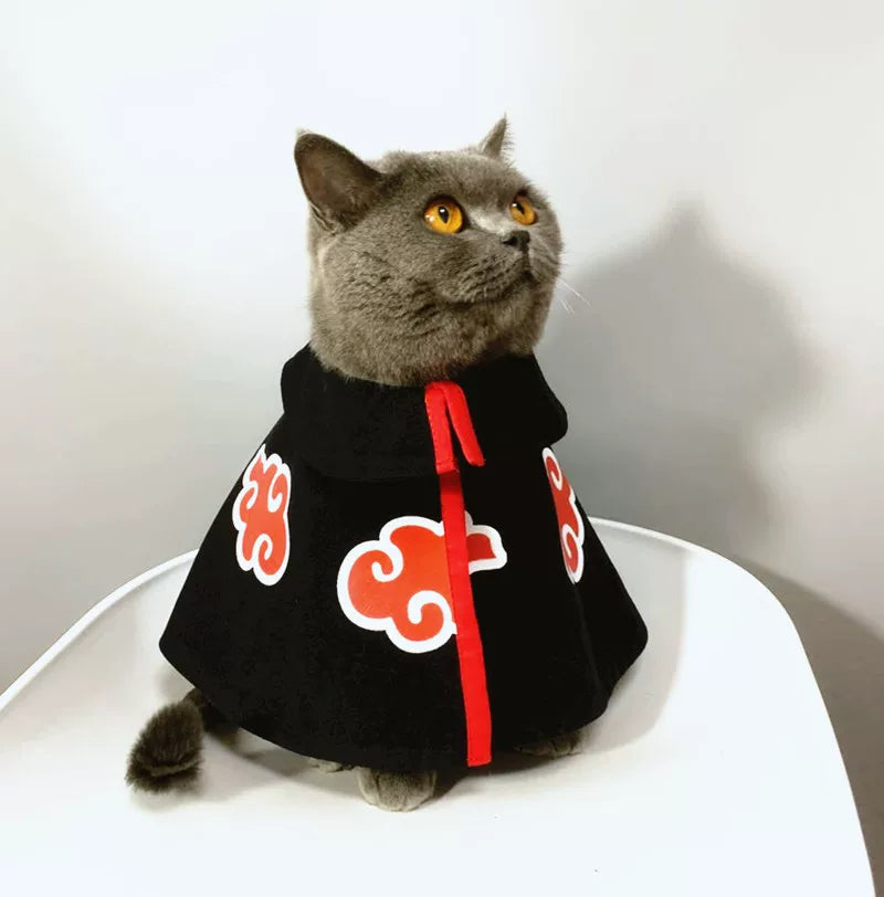 British Shorthair Akatsuki Cloak Ninja Cosplay Cat Costume