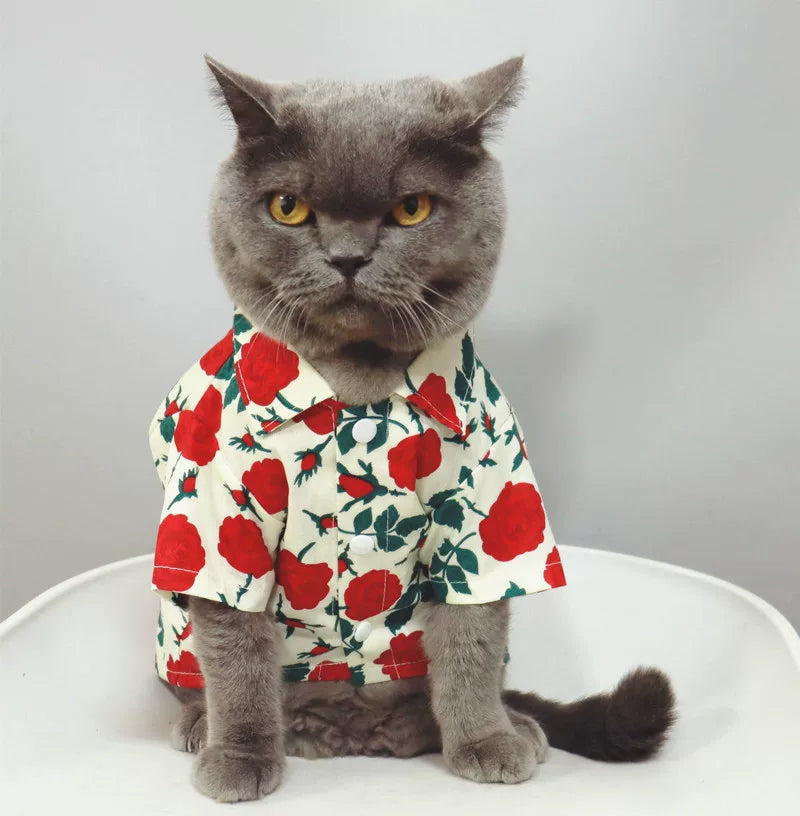British Shorthair Rose Print Shirt Soft Floral Cat Clothing