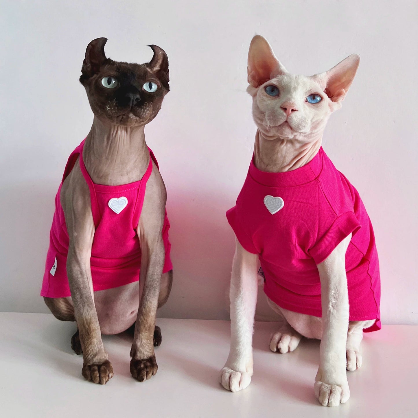 Sphynx Cat Cotton Vest & Jumper Devon Rex & Cornish Rex Clothes