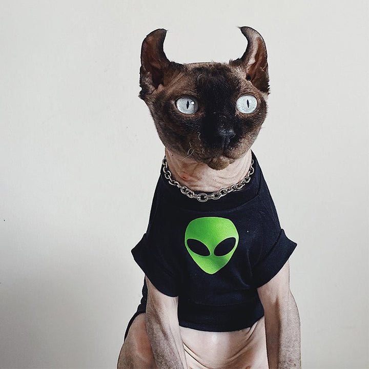 Sphynx Cat Jumpers Summer Mesh Outfit Fun Tee for Hairless and Devon Rex Cats