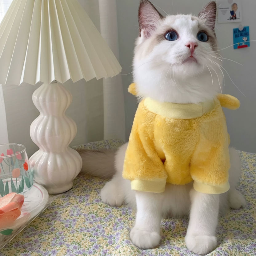 Cat Yellow Bear Hoodie Front