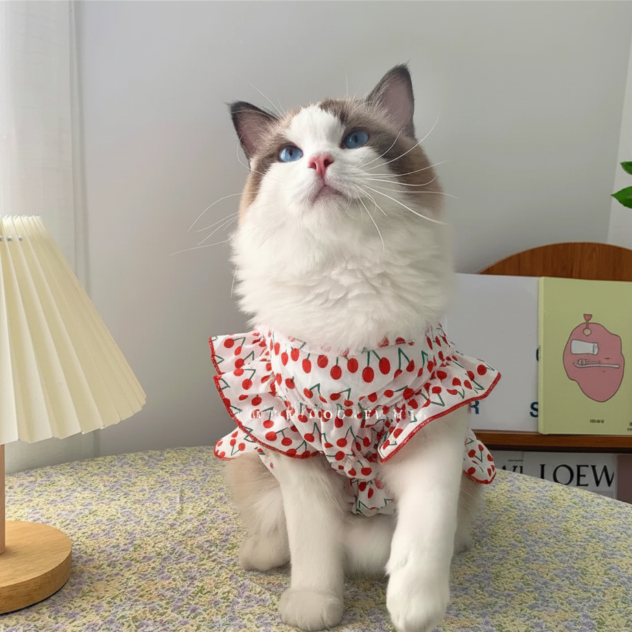 Cherry Dress Front v2