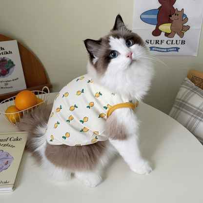 Lemon Vest White Front