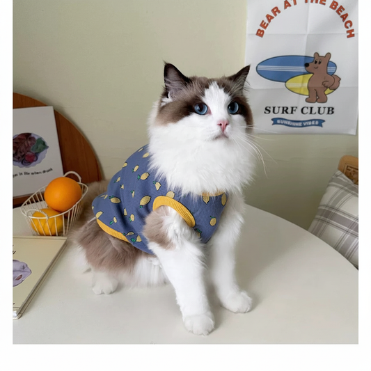 Pineapple Vest Blue Sitting